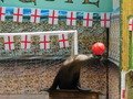 DSCN0658.JPG