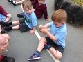IMG_9660.JPG