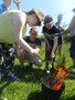 DSCN6220.JPG