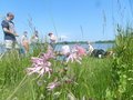 DSCN6233.JPG