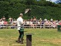 IMG_1813.jpg