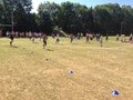 IMG_0206.JPG