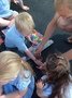 IMG_5704.JPG