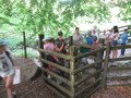 IMG_1826.JPG