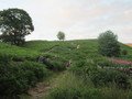 IMG_1839.JPG