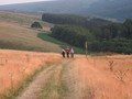 IMG_1842.JPG