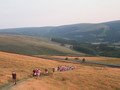 IMG_1847.JPG