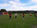 summer fair 6.jpg