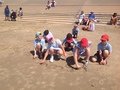 IMG_3811.JPG
