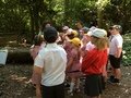 IMG_2909.JPG
