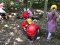 IMG_2911.JPG