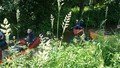 20180612_135221.jpg