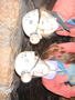 DSCN3975.JPG
