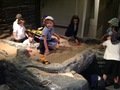 IMG_0557.JPG
