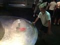 IMG_0572.JPG