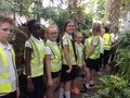Term 6 Botanical Gardens (2).JPG