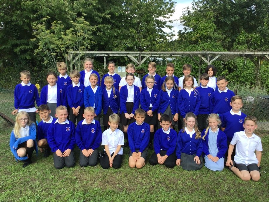 Alresford Primary School - Lions (Year 5/6)