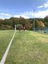 20180926_132041149_iOS.jpg