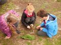 P1201100.JPG