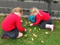 IMG_0072.JPG
