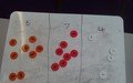 SUNP0015 (2).JPG