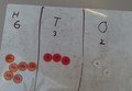 SUNP0018 (2).JPG