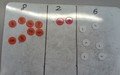 SUNP0022 (2).JPG