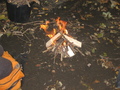 IMG_9044.JPG