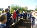 Mr Connor comes to school to plant wheat (1).JPG
