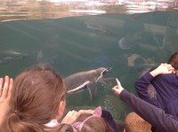IMG_0565.JPG
