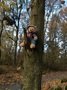 File 13-11-2018, 20 05 04.jpeg