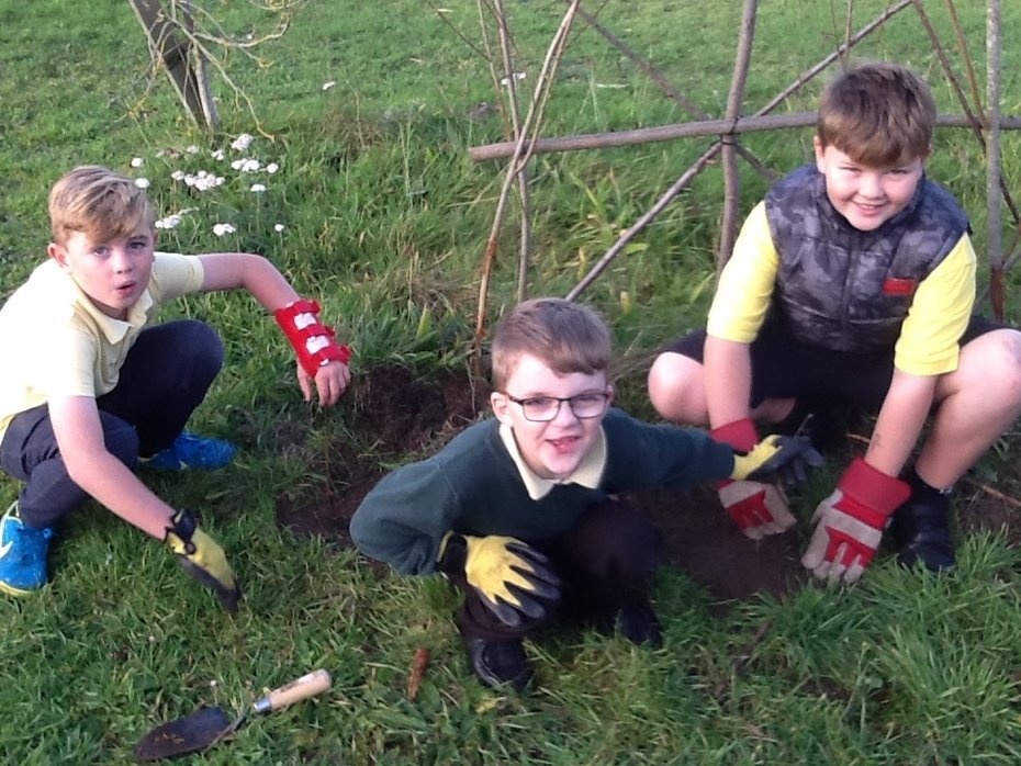 East Harling Primary School And Nursery - Silver Birch Class (year 4)