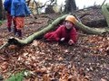 C3B6720E-3C03-4816-8C78-F839AB5B93AD.jpeg
