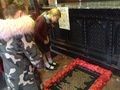 IMG_0842.JPG