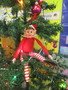 IMG_4706.JPG