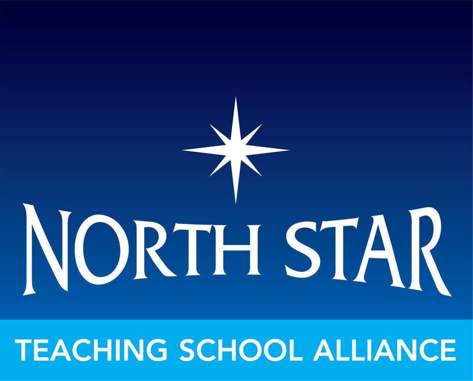 Работа северная звезда. North Star. Логотип North. Эмблема North Star. Северная звезда лого.