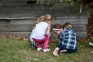 DSC_0010 (1).jpg