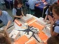 IMG_4447.JPG