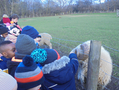 Y1 at Meanwood Valley Farm.png