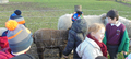 Year 1  at Meanwood Valley Farm 1.png