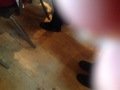 IMG_0624.JPG