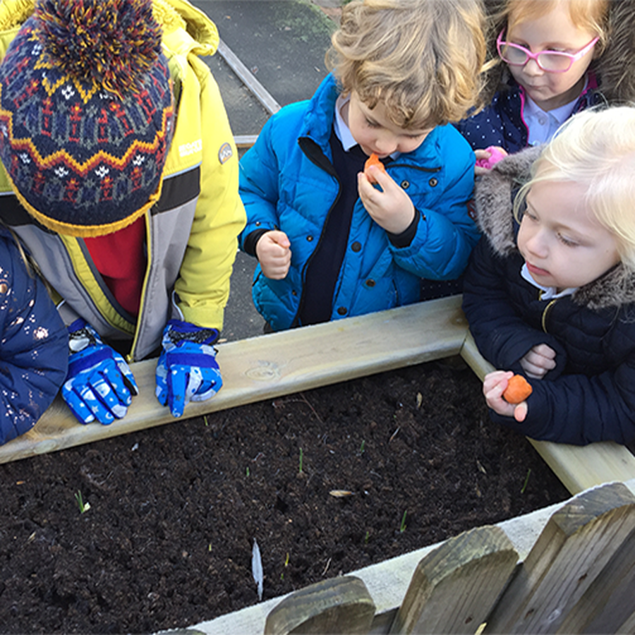 Hayfield Primary School - Home