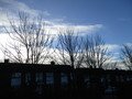 IMG_1908.JPG