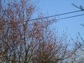 IMG_1910.JPG
