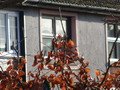 IMG_1911.JPG