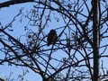 IMG_1912.JPG