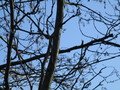 IMG_1913.JPG