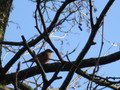 IMG_1914.JPG