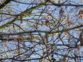 IMG_1915.JPG