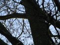 IMG_1916.JPG